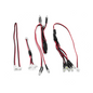 Front Light & Rock Light, Fortis
