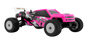 Speck-T 1:24 2WD RTR, Brushless, Choose Color