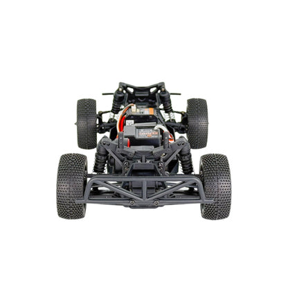 Speck-SCT 1:24 2WD RTR, Brushless, Choose Color