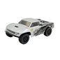 Speck-SCT 1:24 2WD RTR, Brushed, Choose Color