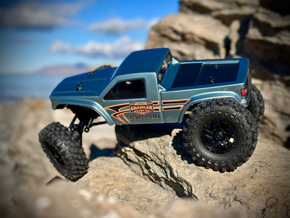 CR18P Evo PRO Fighter 4x4 RTR, Brushed